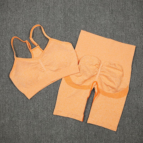 029 High Waist Push Up Fitness Bra & Shorts