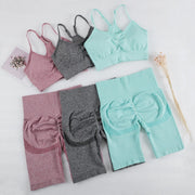 029 High Waist Push Up Fitness Bra & Shorts