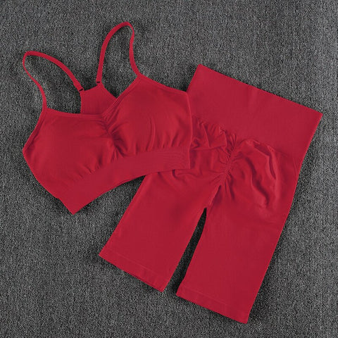 029 High Waist Push Up Fitness Bra & Shorts