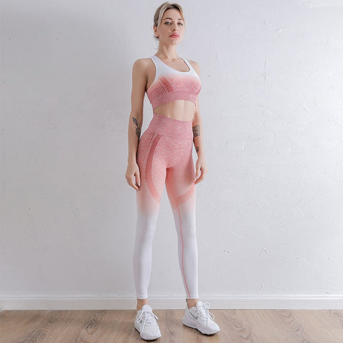 038 Ombre Seamless Fitness Bra + Push Up Leggings