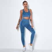 076 Seamless Mesh Design Sport Bra + Leggings