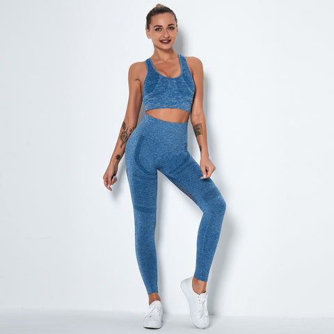 076 Seamless Mesh Design Sport Bra + Leggings